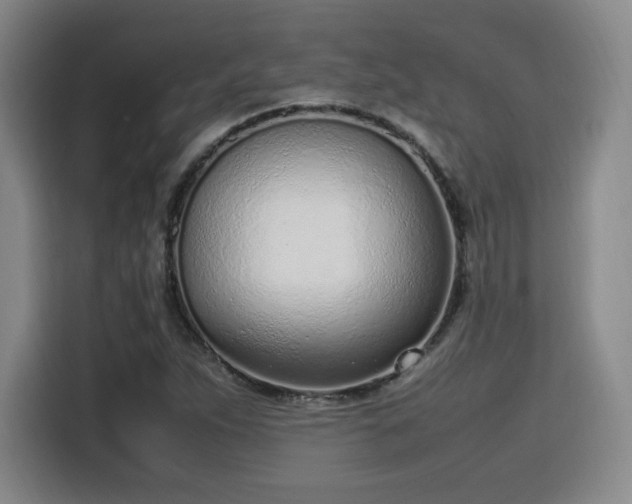 X0000115761263200911201151