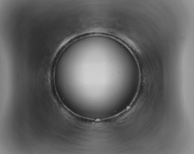 X0000115761264200911201151