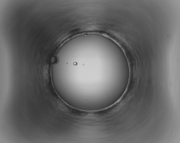 X0000115761265200911201151