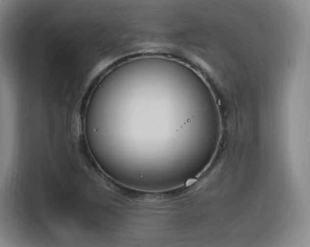 X0000115761267200911201151