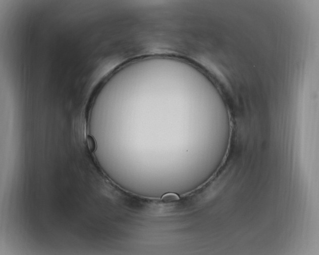 X0000115761269200911201151