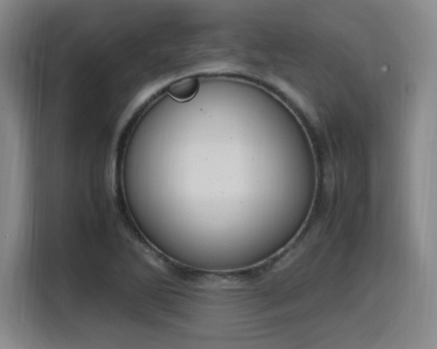 X0000115761270200911201151