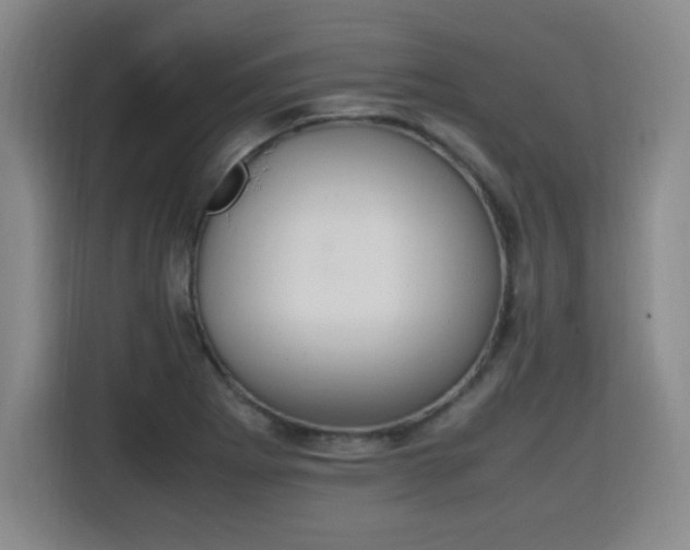 X0000115761273200911201151