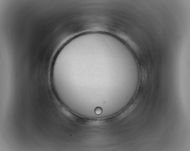 X0000115761278200911201151