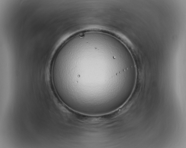 X0000115761279200911201151