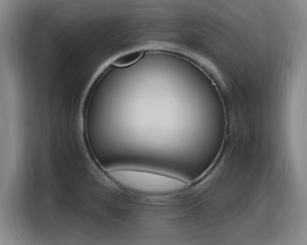 X0000115761280200911201151