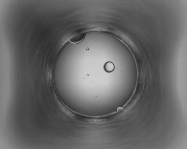 X0000115761281200911201151
