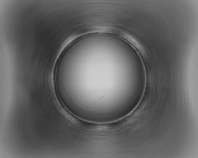 X0000115761283200911201151