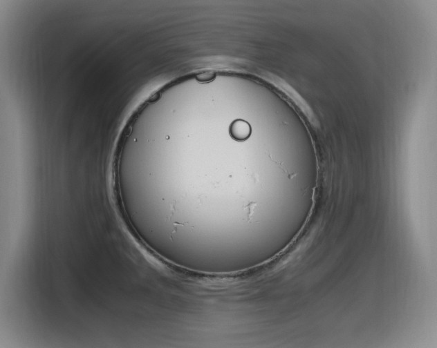 X0000115761285200911201150