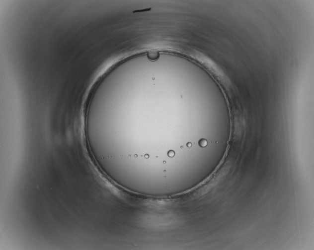 X0000115761286200911201150