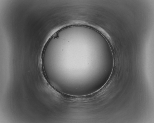 X0000115761287200911201150