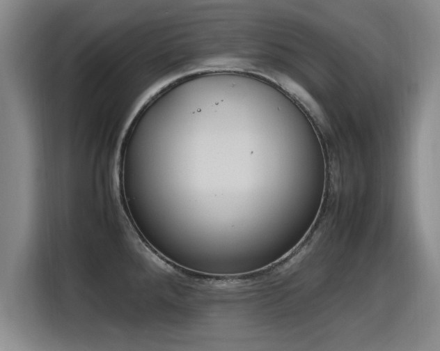 X0000115761288200911201150