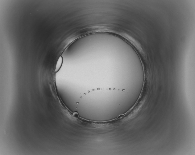 X0000115761289200911201150