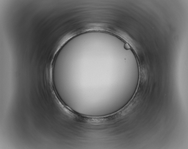 X0000115761290200911201150