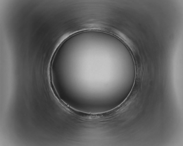 X0000115761291200911201150