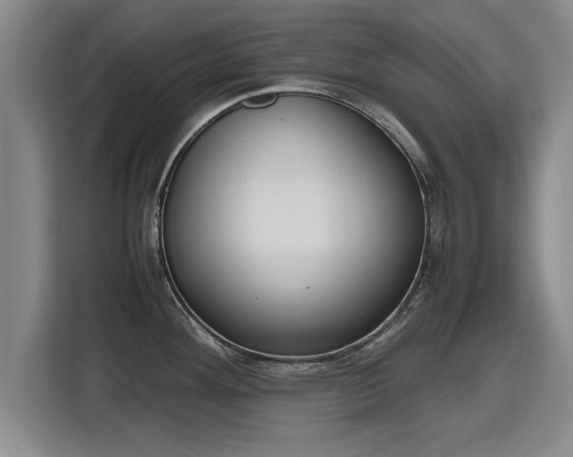 X0000115761292200911201150