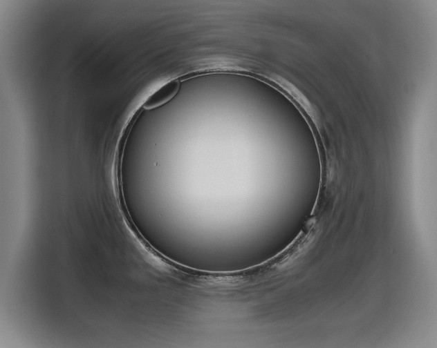 X0000115761293200911201150