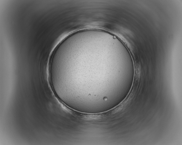 X0000115761294200911201150