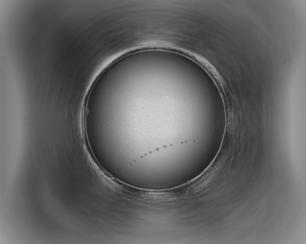 X0000115761295200911201150