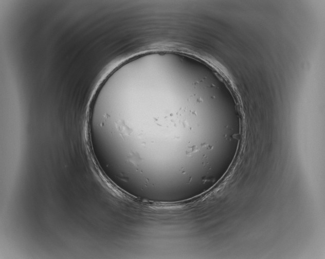 X0000115761296200911201150