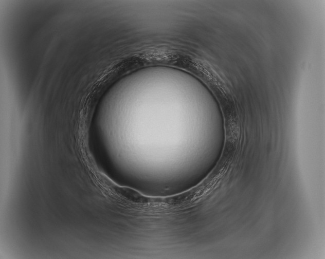 X0000115761297200911201150