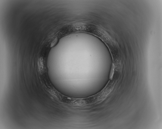 X0000115761298200911201150