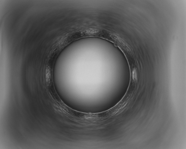 X0000115761299200911201150