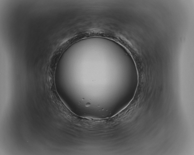 X0000115761303200911201150