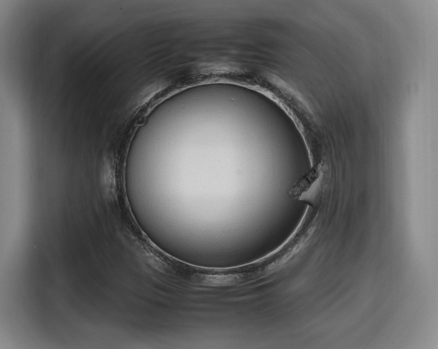 X0000115761305200911201150