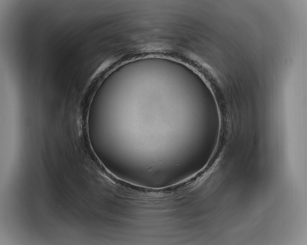 X0000115761306200911201150