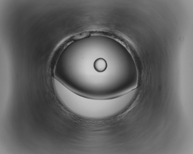 X0000115761310200911201150