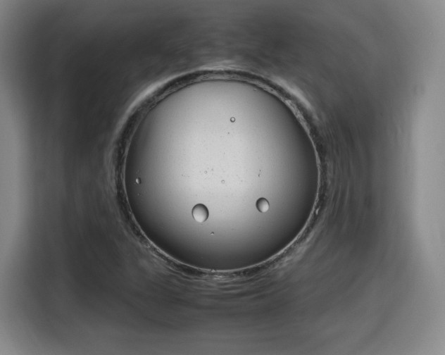 X0000115761311200911201150