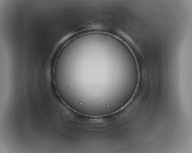 X0000115761315200911201150