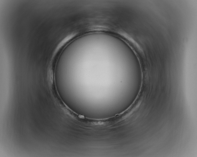X0000115761317200911201150