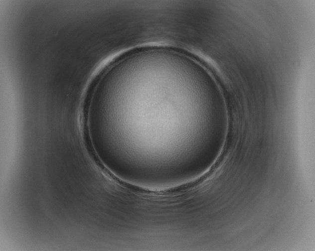 X0000115761319200911201150