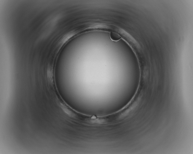 X0000115761321200911201150