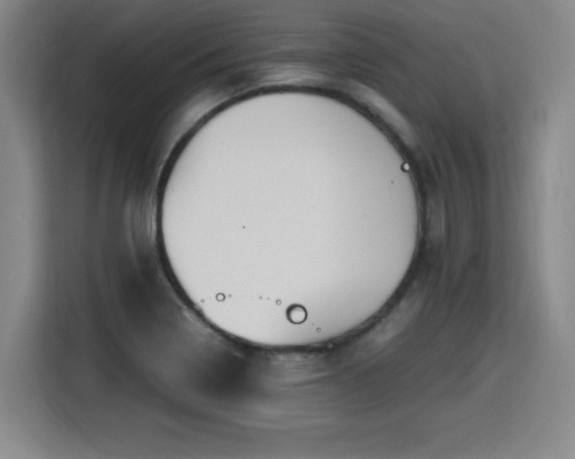 X0000115761322200911201150