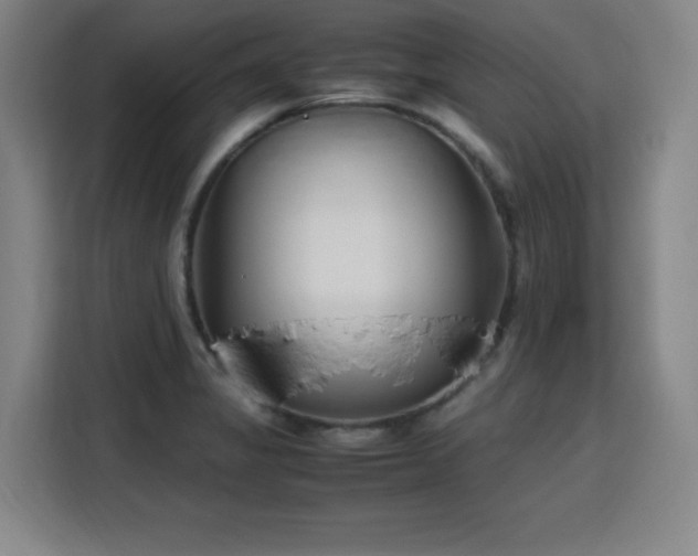 X0000115761325200911201150