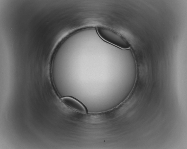 X0000115761326200911201150