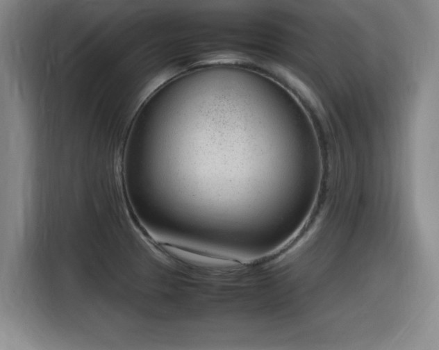 X0000115761329200911201150