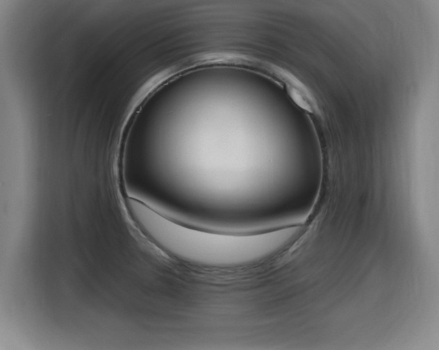 X0000115761330200911201150