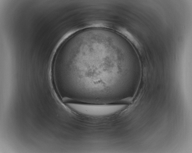 X0000115761331200911201150