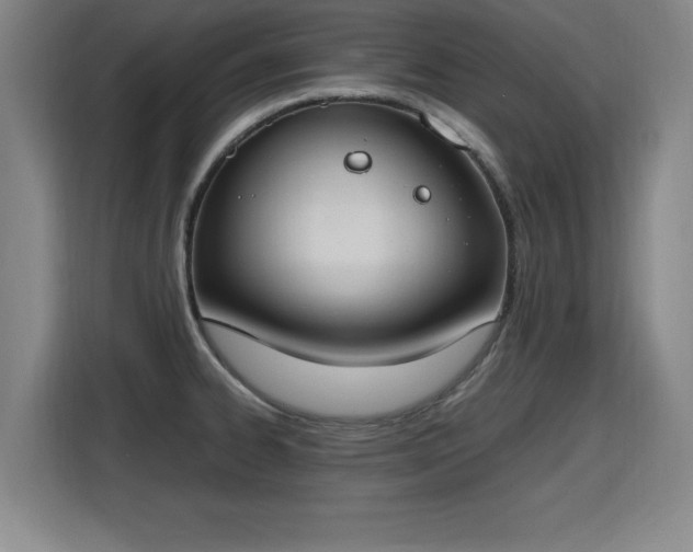 X0000115761334200911201150