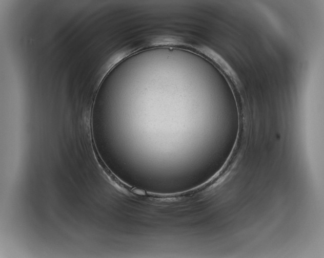 X0000115761337200911201150