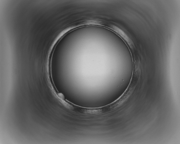 X0000115761339200911201150