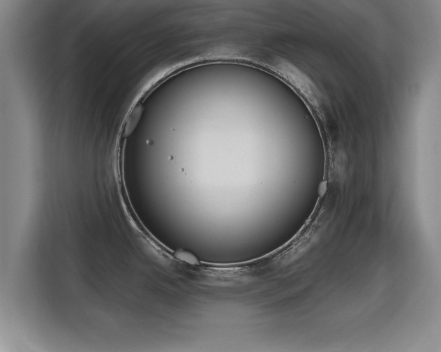 X0000115761342200911201150