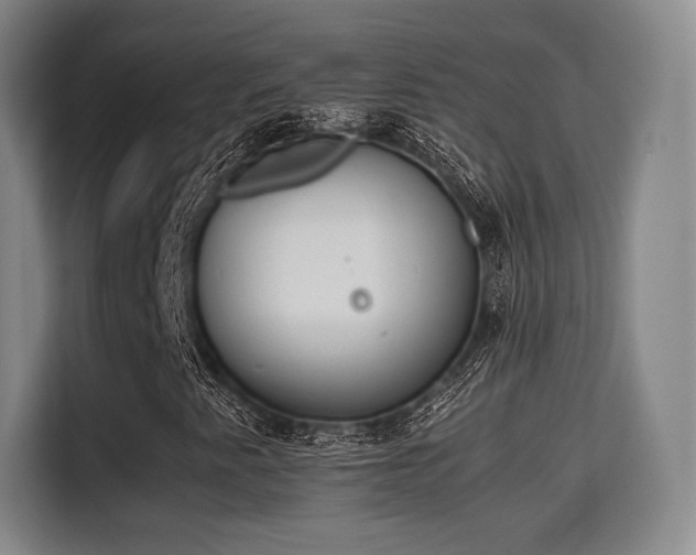 X0000115761345200911201150