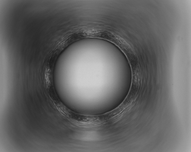 X0000115761346200911201150