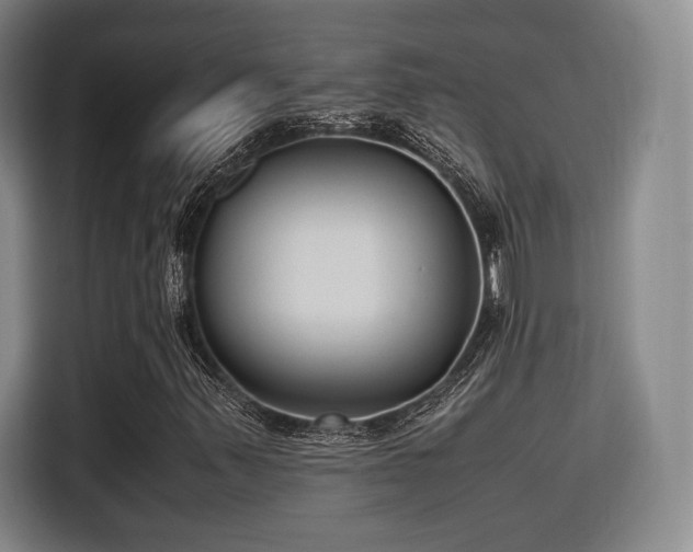 X0000115761347200911201150