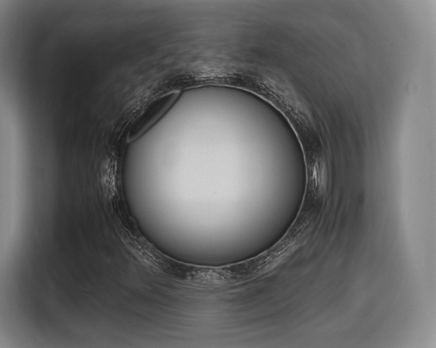 X0000115761348200911201150